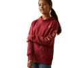 ARIAT GIRLS REAL ARM LOGO HOODIE - EARTH RED -Western Fashion-Ariat 825db7050f85355e43d89b446d5fb13a